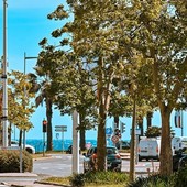 Cagnes-sur-Mer cambia volto: nuova identità visiva per una città più moderna e riconoscibile