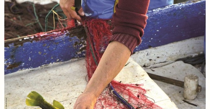 Aux origines de Cannes - Pêche et autres trésors de la mer Aux origines de Cannes - Pêche et autres trésors de la mer