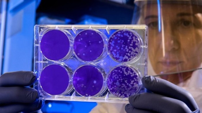 Coronavirus, salgono a 81 le persone positive nel Principato di Monaco Coronavirus, salgono a 81 le persone positive nel Principato di Monaco