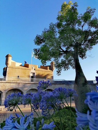 "Colori tenui", fotografia di Luisella Cappio