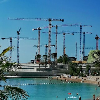 "Concentrato di...gru", fotografie di Luisella Cappio