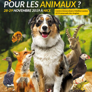 Quale futuro per gli animali? Se ne discute a Nizza