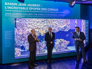 Sequenza inaugurale, Museo oceanografico di Monaco, 24 ottobre 2025 © Philippe Fitte / Institut océanographique. Sequenza inaugurale, Museo oceanografico di Monaco, 24 ottobre 2025 © Philippe Fitte / Institut océanographique.