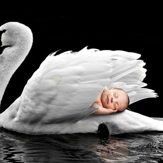 Monaco: meno divorzi e più matrimoni nel 2017, in aumento anche le nascite. I nomi più gettonati sono Alice e Nolan