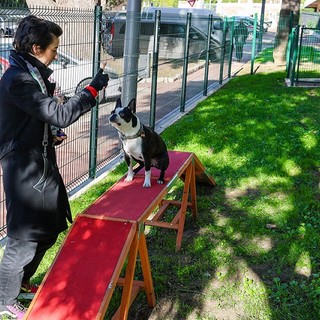 Cannes, parco canino