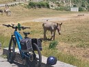 Col de l'Orme (Foto 1 - 8), Touët-de-l'Escarène (Foto 9 - 12), Col de Braus (Foto 13 - 16), Peïra-Cava (Foto 17 - 27), Col de Turini (Foto 28 - 29), La Bollène Vésubie (Foto 30 - 36), Dati del percorso (Foto 37 - 38). Le fotografie sono di Danilo Radaelli Col de l'Orme (Foto 1 - 8), Touët-de-l'Escarène (Foto 9 - 12), Col de Braus (Foto 13 - 16), Peïra-Cava (Foto 17 - 27), Col de Turini (Foto 28 - 29), La Bollène Vésubie (Foto 30 - 36), Dati del percorso (Foto 37 - 38). Le fotografie sono di Danilo Radaelli