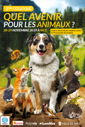 Quale futuro per gli animali? Se ne discute a Nizza Quale futuro per gli animali? Se ne discute a Nizza
