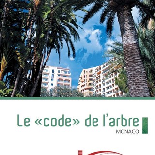 A Montecarlo nasce il "Codice" per preservare gli alberi. Ecco di cosa si tratta