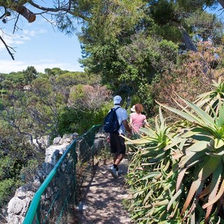 Cap d'Antibes, Sentier de Tirepoil @Ville d Antibes Juan les Pins