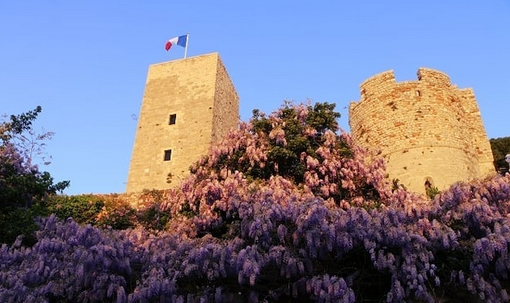 Covid, a Cannes parte la campagna per diffondere l’uso degli autotest