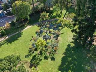 “Complantation / Contemplation” Cannes “Complantation / Contemplation” Cannes