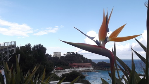 Bellissimi scorci di natura al Montecarlo Rolex Masters Bellissimi scorci di natura al Montecarlo Rolex Masters
