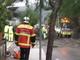 Ondata di maltempo: importante intervento delle forze dell'ordine per rimuovere 2 alberi abbattuti vicino Monaco IMMAGINI
