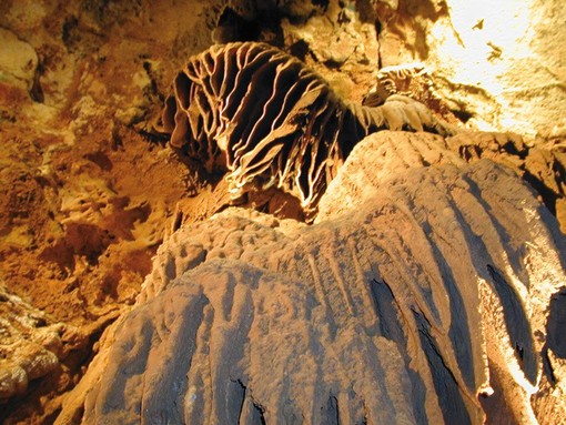 DOPO IL CORONAVIRUS: alla scoperta della grotta di Saint Cézaire, da 6 milioni di anni alle spalle di Nizza