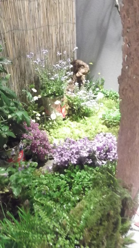 Montecarlo, speciale concorso bouquet: il giardino segreto di Eridana Romano Montecarlo, speciale concorso bouquet: il giardino segreto di Eridana Romano