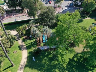 “Complantation / Contemplation” Cannes “Complantation / Contemplation” Cannes