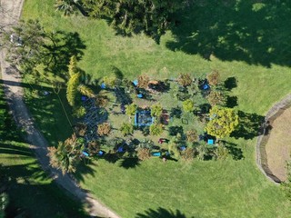 “Complantation / Contemplation” Cannes “Complantation / Contemplation” Cannes