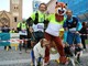 Dog Endurance Trail: uno dei momenti più attesi della quarta edizione del Trail delle Colline Dog Endurance Trail: uno dei momenti più attesi della quarta edizione del Trail delle Colline