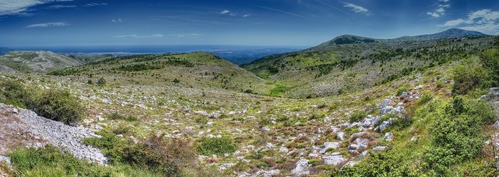 Vence punta sul futuro verde: torna il Salon Éco-Habitat per la sua 10ª edizione