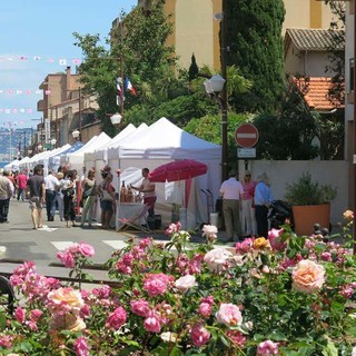 Grasse, è il momento di ExpoRose (Video)