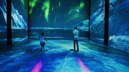 La mostra Mission Polaire sta per accogliere il milionesimo visitatore La mostra Mission Polaire sta per accogliere il milionesimo visitatore