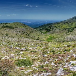 Vence punta sul futuro verde: torna il Salon Éco-Habitat per la sua 10ª edizione