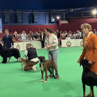 Fotogallery di Ezio Cairoli