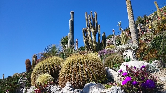 Eze, Jardin Eze, Jardin