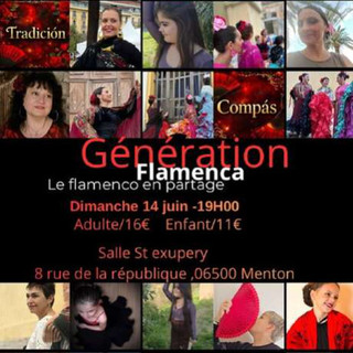 Flamenca Show