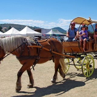 Festa del cavallo - Levens