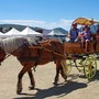 Festa del cavallo - Levens