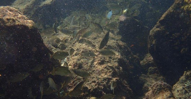 Sottocosta …a cura di Ghjuvan Pasquale