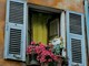 "D'antan", fotografia di Luisella Cappio