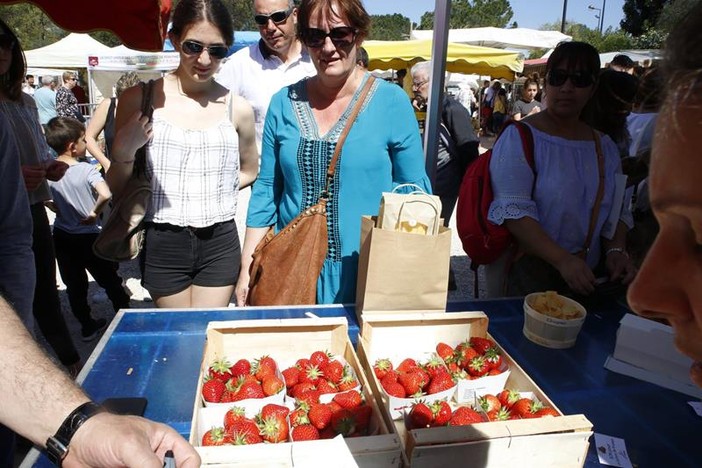 Carros celebra la fragola: due giorni tra tradizione, gusto e spettacolo