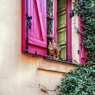 "Particolari" di Franco Magnetto