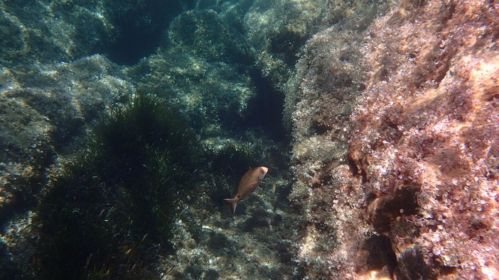 Sottocosta …a cura di Ghjuvan Pasquale Sottocosta …a cura di Ghjuvan Pasquale