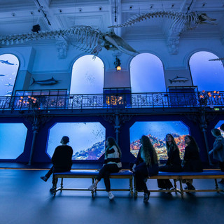 Institut océanographique de Monaco: foto- Frédéric Pacorel