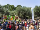 Fête de la Saint-Jean, Nizza Fête de la Saint-Jean, Nizza