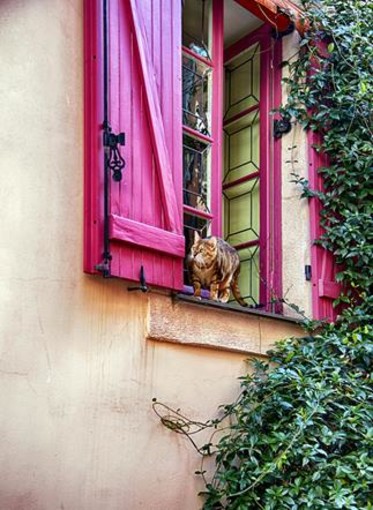 "Particolari" di Franco Magnetto