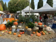 Fête de la courge Chateauneuf de Grasse Fête de la courge Chateauneuf de Grasse