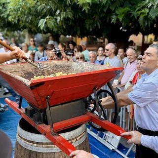 Antibes, Festa della Vendemmia del Safranier Antibes, Festa della Vendemmia del Safranier