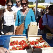 Carros celebra la fragola: due giorni tra tradizione, gusto e spettacolo