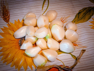 ph F. Dalmasso ph F. Dalmasso