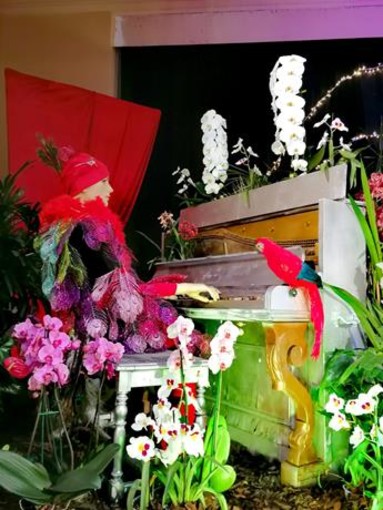 Festival delle Orchidee, a Menton - Fotografie di Luisella Cappio
