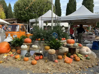 Fête de la courge Chateauneuf de Grasse Fête de la courge Chateauneuf de Grasse