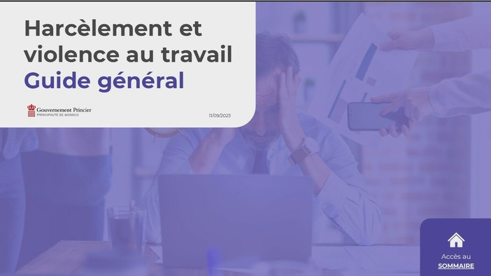 La guida è accessibile dal portale Intranet del Governo, nella sezione “Prevenzione contro le molestie e la violenza sul lavoro”, e sul sito web: Mon Service Public.