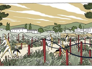 Cannes «Dernières vendanges» Cannes «Dernières vendanges»