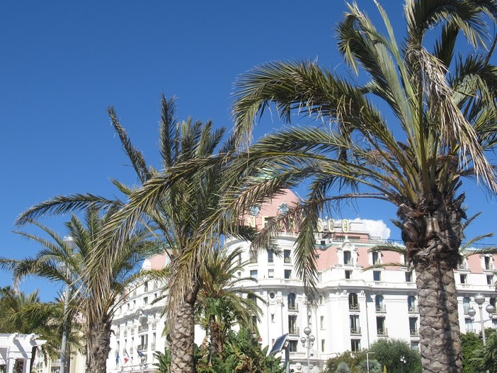 "Giochi di palme" di Teresa Alicandri