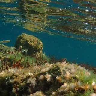 Sottocosta …a cura di Ghjuvan Pasquale