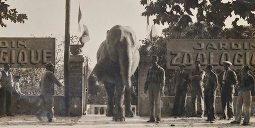 Il Giardino zoologico di Cagnes nel 1923, @ville de Cagnes Il Giardino zoologico di Cagnes nel 1923, @ville de Cagnes